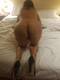 Foto privada de XXX_Sofia