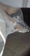 piedi stanchi