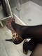 Scarpe