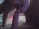Private Photo of LaReinadelSexo