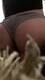 Sedere