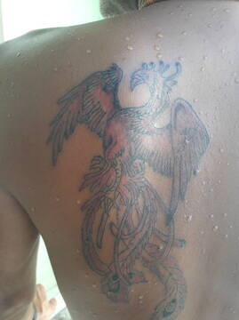 Foto pública de dungabrasil