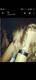 Private Photo of Koral_