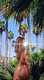Foto privada de Jessica__