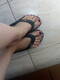 Foto privada de Blady96