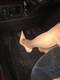 Foto privada de BUCO_NEVE